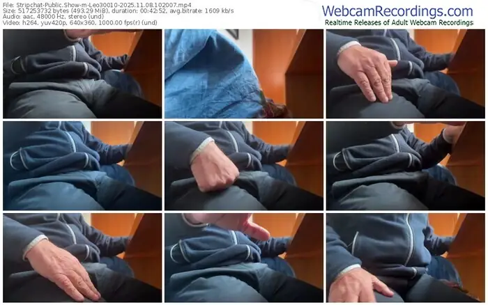 stripchat-leo30010-11-08-2025-10-20-07