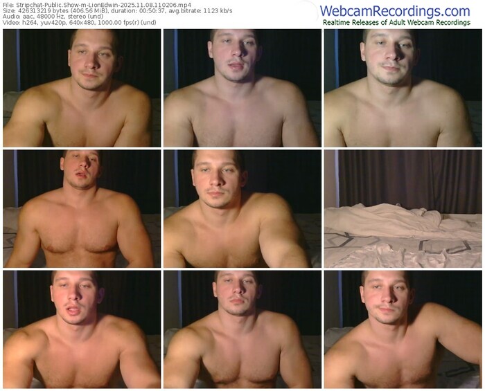 stripchat-lionedwin-11-08-2025-11-02-06