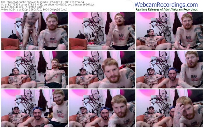 stripchat-magnetic127-11-08-2025-17-50-37