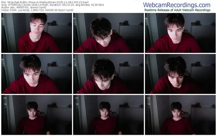 stripchat-markusdean-11-08-2025-13-01-15