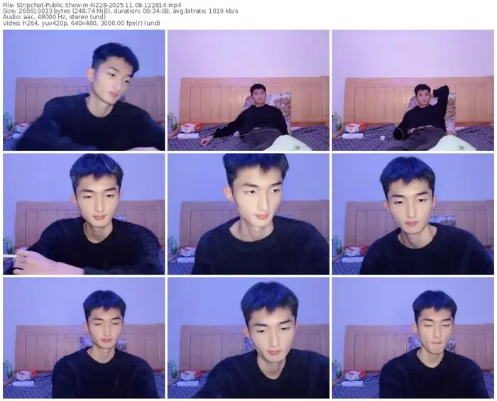 stripchat-n228-11-08-2025-12-28-14