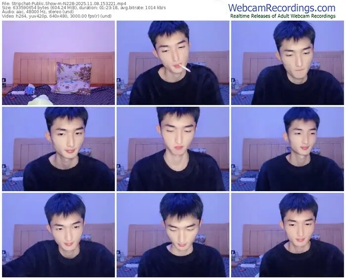 stripchat-n228-11-08-2025-15-32-21