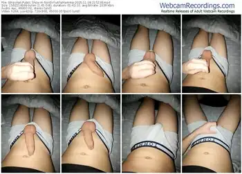 stripchat-nondirloallamamma-11-08-2025-21-52-38