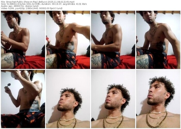 stripchat-paul_bellucci-11-08-2025-01-21-45