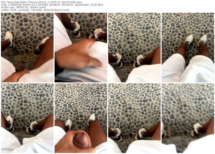 stripchat-rico1_1-11-08-2025-07-14-36