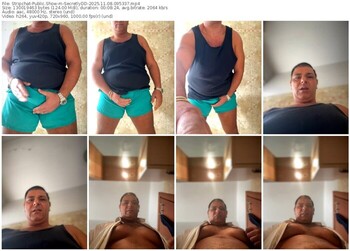 stripchat-secretlydd-11-08-2025-09-53-37