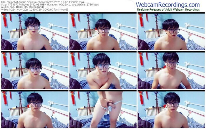 stripchat-chenwen520-11-08-2025-15-36-38