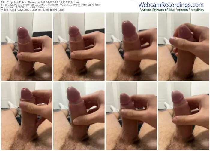 stripchat-edi627-11-08-2025-21-59-11