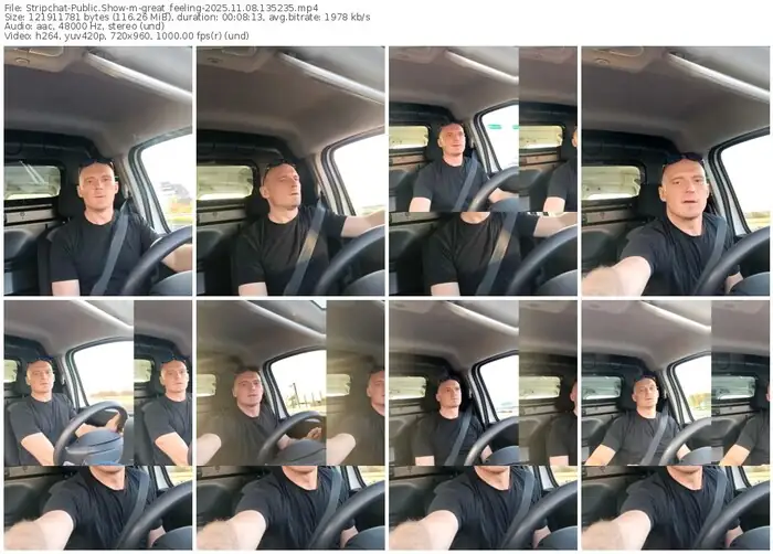 stripchat-great_feeling-11-08-2025-13-52-35
