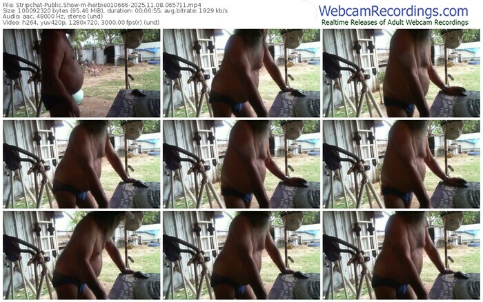 stripchat-herbie010666-11-08-2025-06-57-11