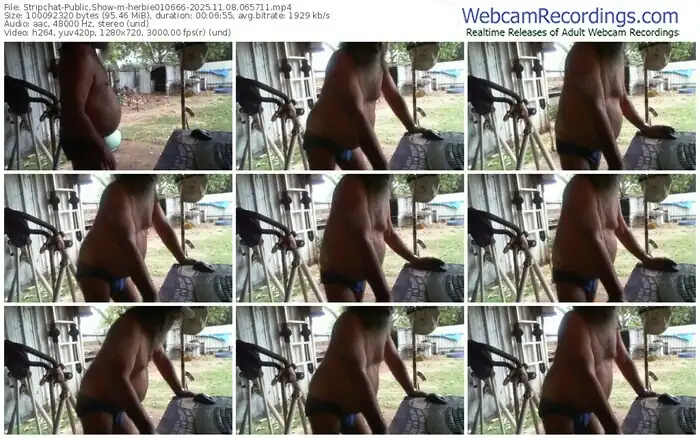 stripchat-herbie010666-11-08-2025-06-57-11