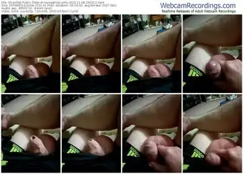 stripchat-loveeatingcunts-11-08-2025-23-03-12