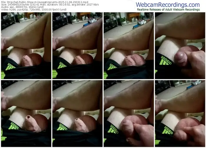 stripchat-loveeatingcunts-11-08-2025-23-03-12
