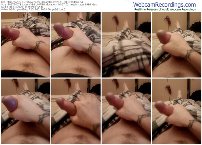 stripchat-mr_dream89-11-08-2025-17-16-43
