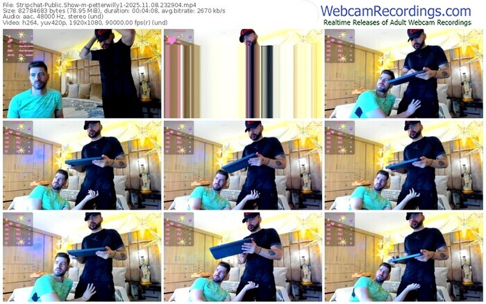 stripchat-petterwilly1-11-08-2025-23-29-04