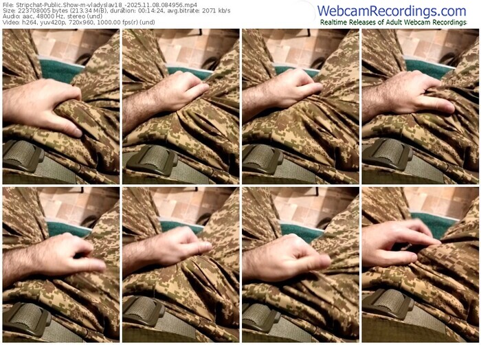 stripchat-vladyslav18_-11-08-2025-08-49-56