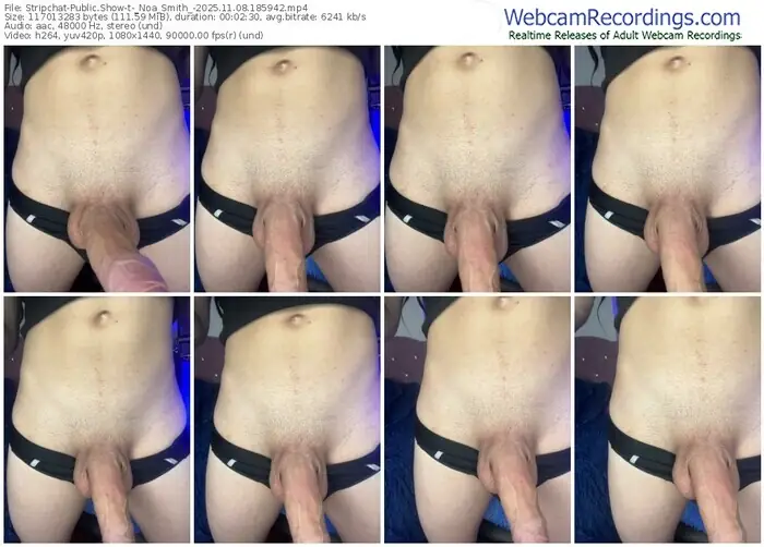 stripchat-_noa_smith_-11-08-2025-18-59-42