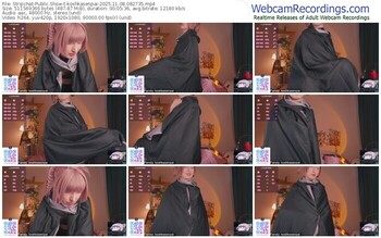 stripchat-koshkasenpai-11-08-2025-08-27-35