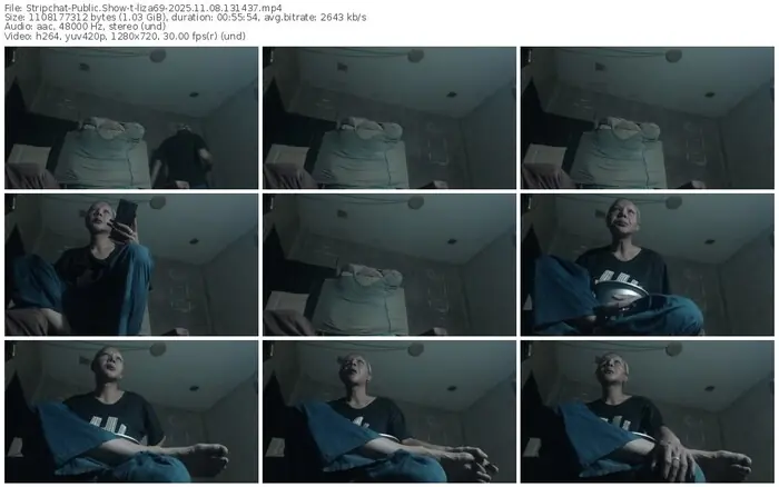 stripchat-liza69-11-08-2025-13-14-37