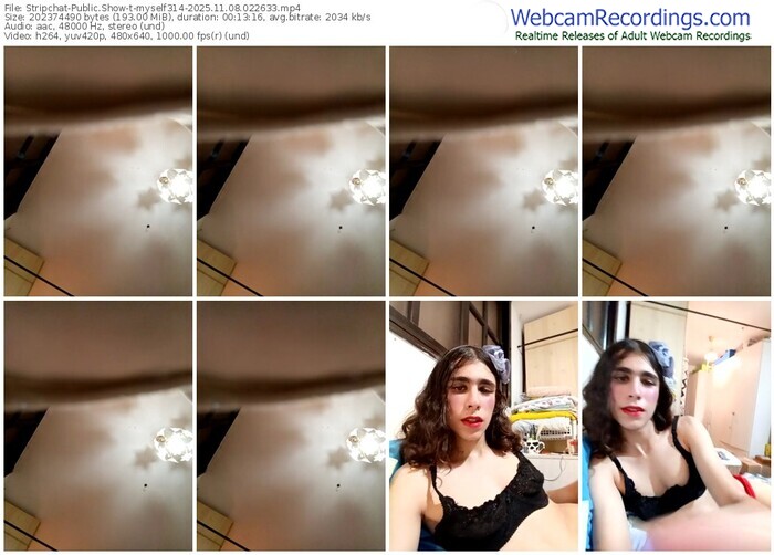 stripchat-myself314-11-08-2025-02-26-33