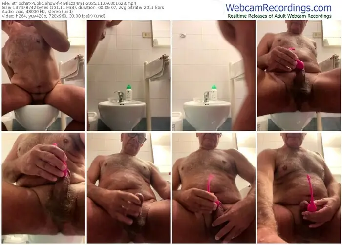 stripchat-4n4l1zz4m1-11-09-2025-00-16-23