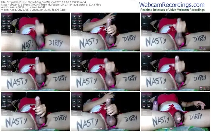 stripchat-big_slutnasty-11-09-2025-12-32-38