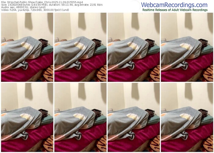 stripchat-jake_chris-11-09-2025-01-55-55