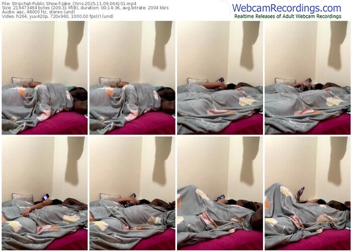 stripchat-jake_chris-11-09-2025-06-41-01