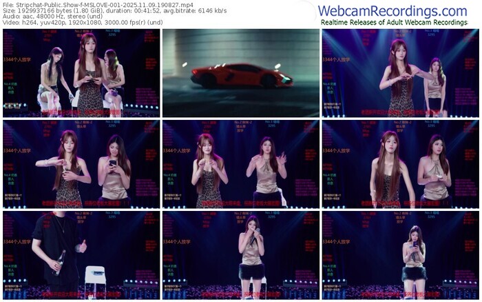 stripchat-mslove-001-11-09-2025-19-08-27