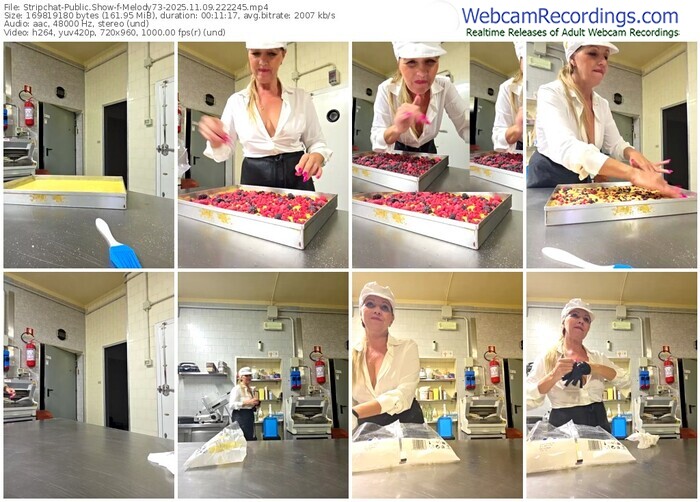 stripchat-melody73-11-09-2025-22-22-45