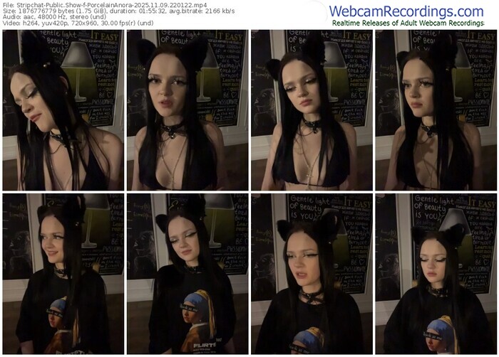 stripchat-porcelainanora-11-09-2025-22-01-22