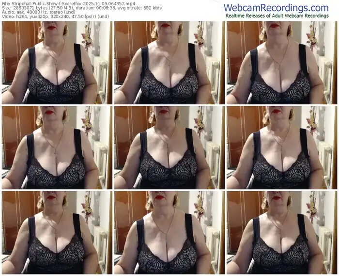stripchat-secretfox-11-09-2025-06-43-57