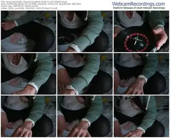 stripchat-venered-11-09-2025-19-56-03