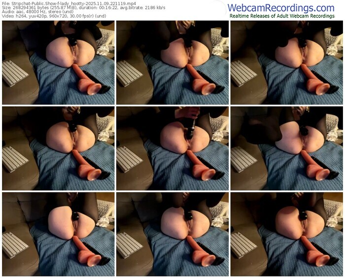 stripchat-lady_hootty-11-09-2025-22-11-19