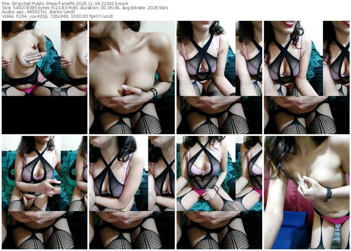stripchat-snwflk-11-09-2025-22-39-13
