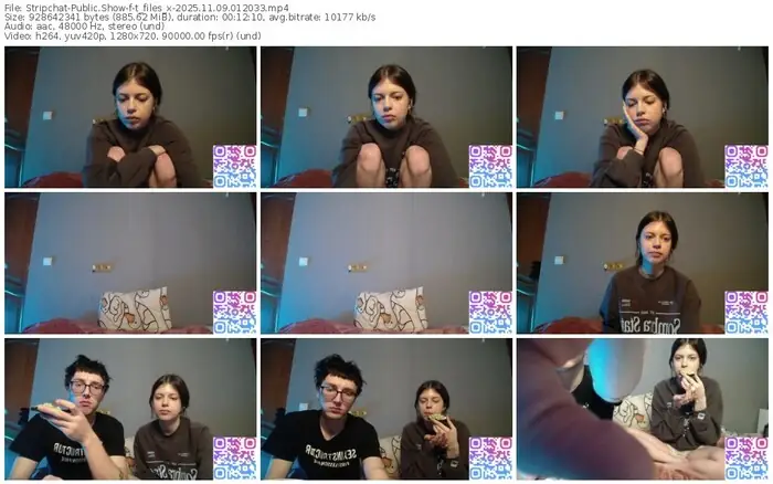 stripchat-t_files_x-11-09-2025-01-20-33