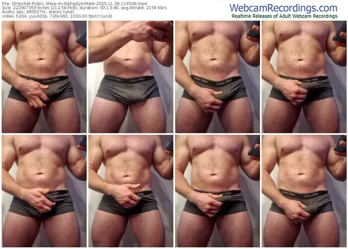 stripchat-alphagymmale-11-09-2025-11-45-09