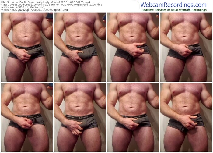 stripchat-alphagymmale-11-09-2025-16-02-38