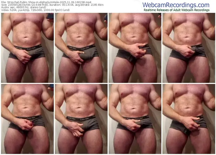 stripchat-alphagymmale-11-09-2025-16-02-38