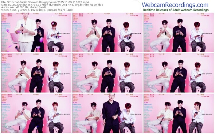 stripchat-boygayhouse-11-09-2025-11-08-28