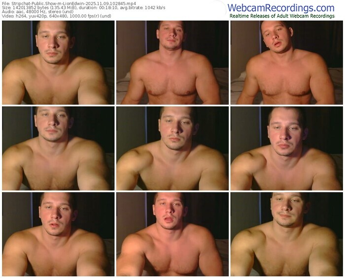 stripchat-lionedwin-11-09-2025-10-28-45
