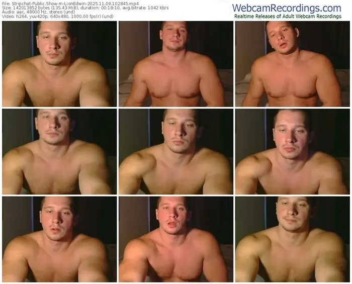 stripchat-lionedwin-11-09-2025-10-28-45
