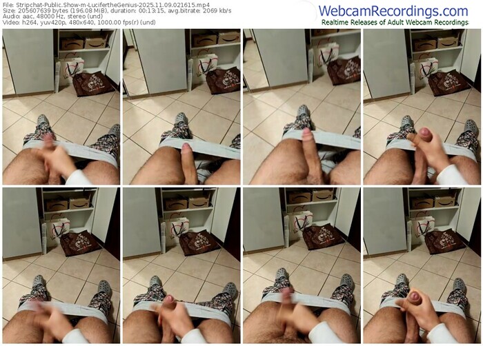 stripchat-luciferthegenius-11-09-2025-02-16-15