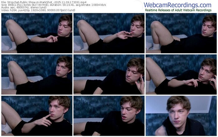 stripchat-markshot_-11-09-2025-17-33-31