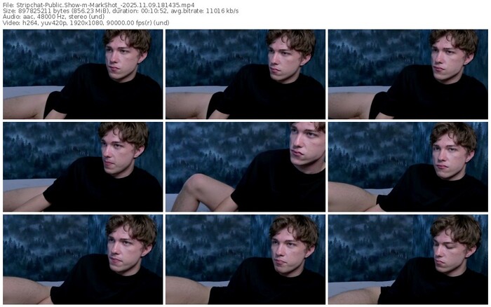 stripchat-markshot_-11-09-2025-18-14-35