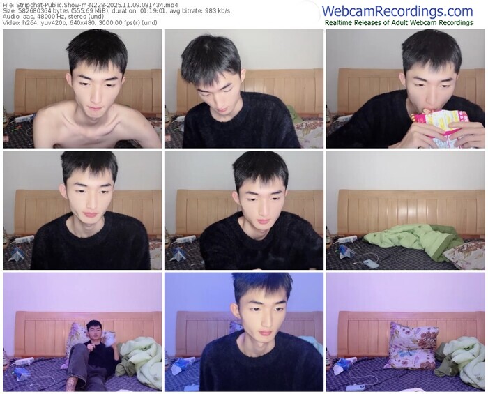 stripchat-n228-11-09-2025-08-14-34