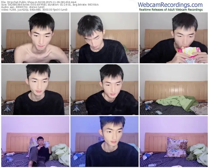 stripchat-n228-11-09-2025-08-14-34