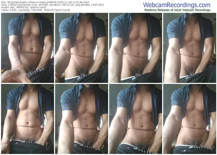 stripchat-harry246809-11-09-2025-11-41-46