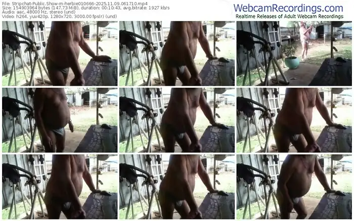stripchat-herbie010666-11-09-2025-06-17-10