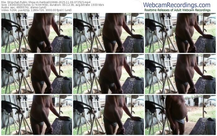 stripchat-herbie010666-11-09-2025-07-25-15